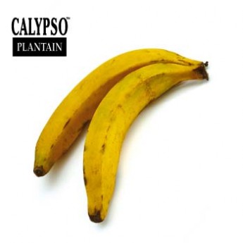Banane plantain jaune – gelbe Kochbanana – 1 kg