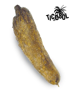 Manioc – Cassava 1kg