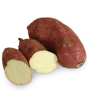 Patate douce rouge 1kg
